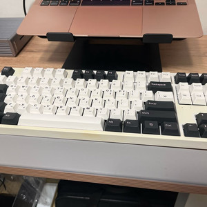 기계식 키보드 콕스 COX CK87 BT 황축