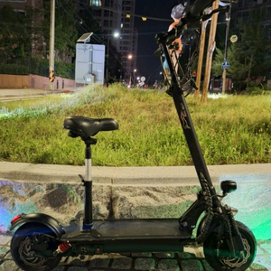 전동스쿠터 듀얼비트 트라이크 코리아 프레임A급 팜