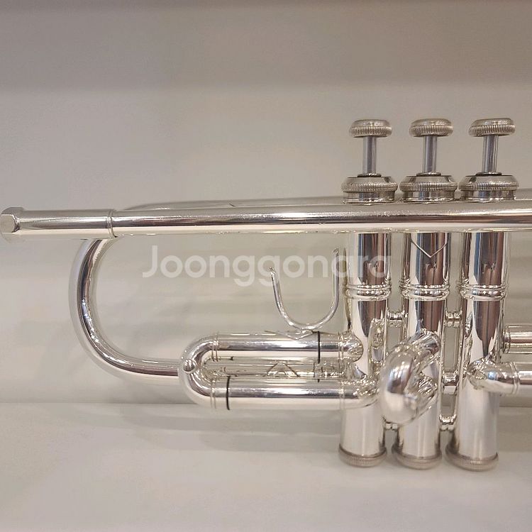 바하 LT180S37 트럼펫--2