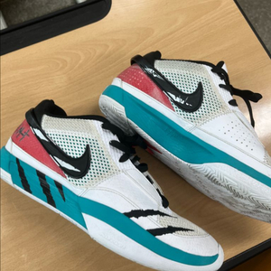 자모란트1 스크래치