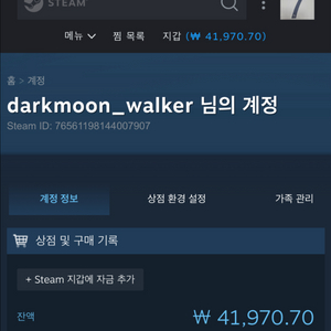 스팀월렛 정리