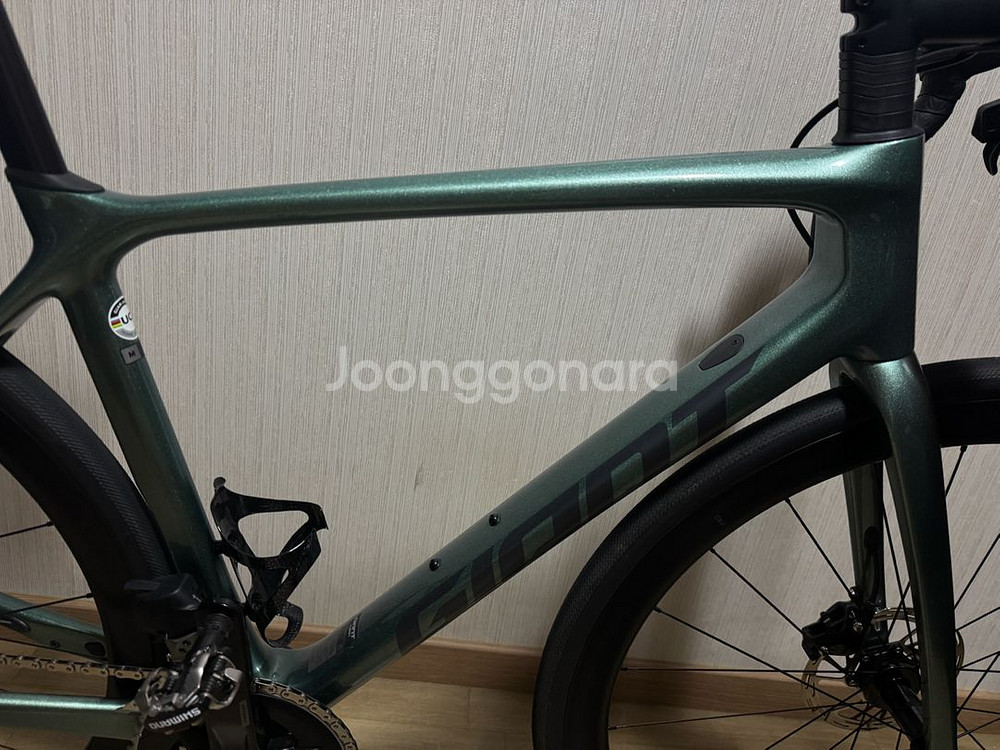 자이언트 tcr 어드벤스 1 23년식--5