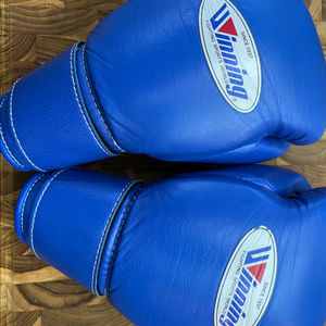 위닝 글러브 블루 8oz (Winning glove 8