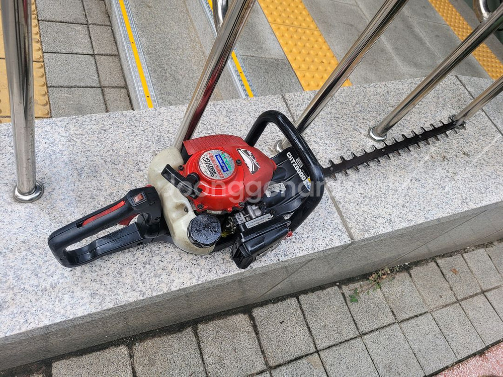 제노아전정기--0