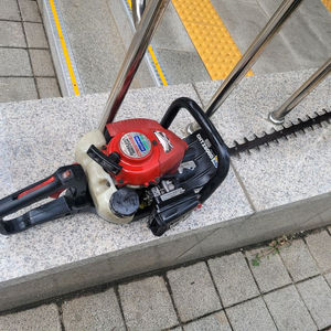 제노아전정기