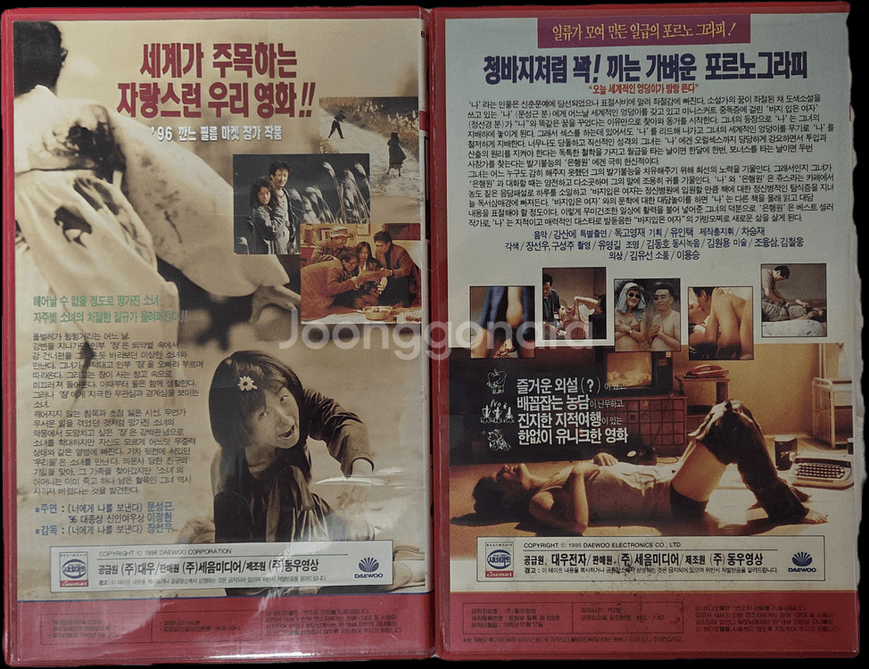 꽃잎 + 너에게 나를 보낸다 비디오테이프 (희귀템)--1