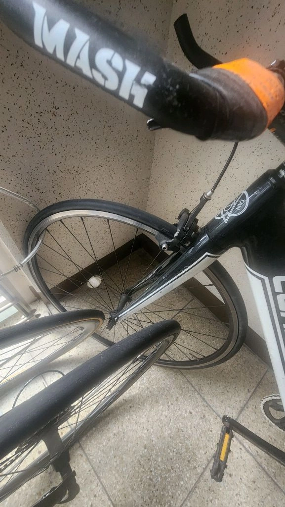 픽시 콘스탄틴 이미지