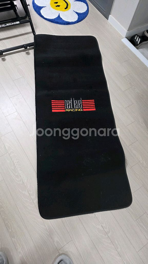 넥스트레벨 레이싱 GT Lite Pro 레이싱시트 레이--6