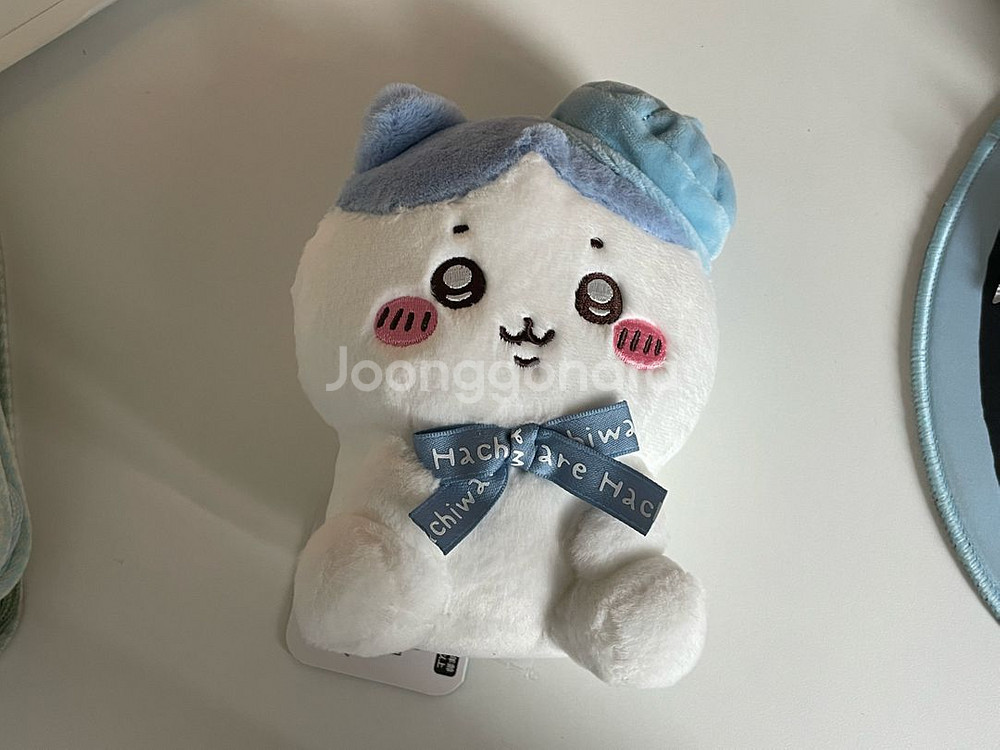 치이카와 하치와레 도쿄 누이--0