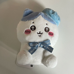 치이카와 하치와레 도쿄 누이