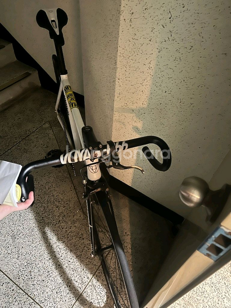 언노운 픽시(판/대)--1