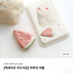 아이리브위드식스캣츠 맥세이프 카드지갑