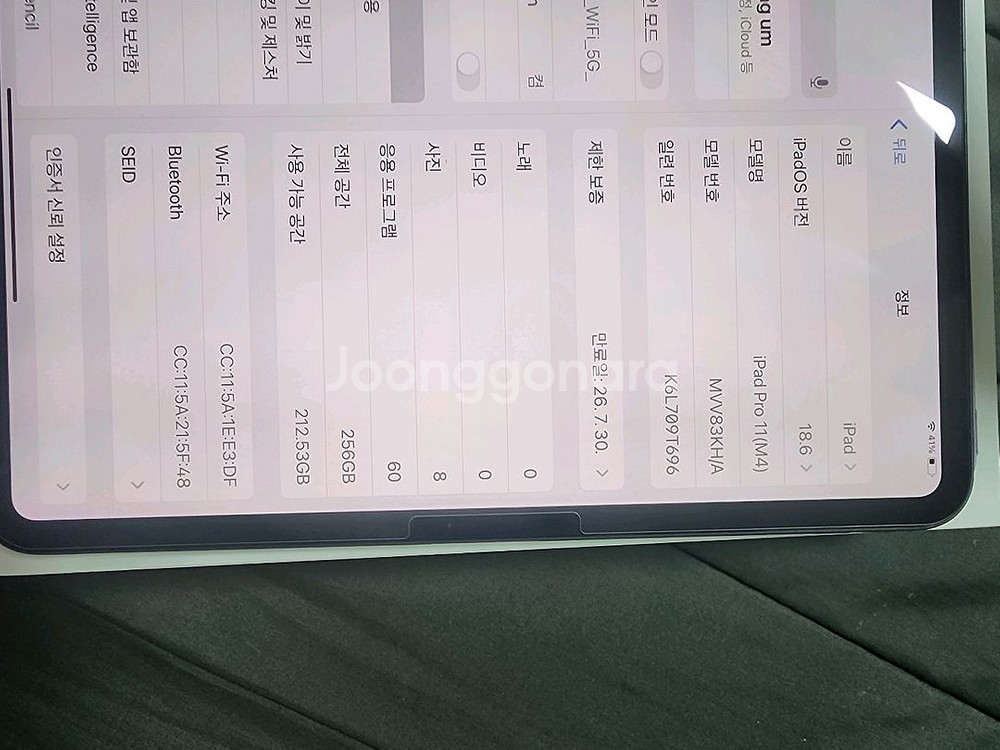 아이패드11pro(M4) 256G+정품케이스--6