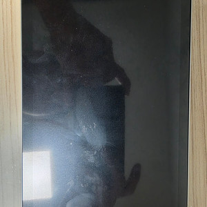 침수 판정 아이패드 미니6 64g 셀룰러