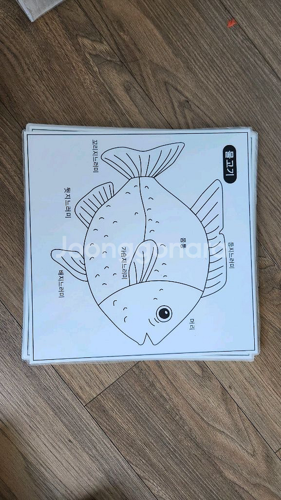 키즈에이원몬테소리 프라임--6