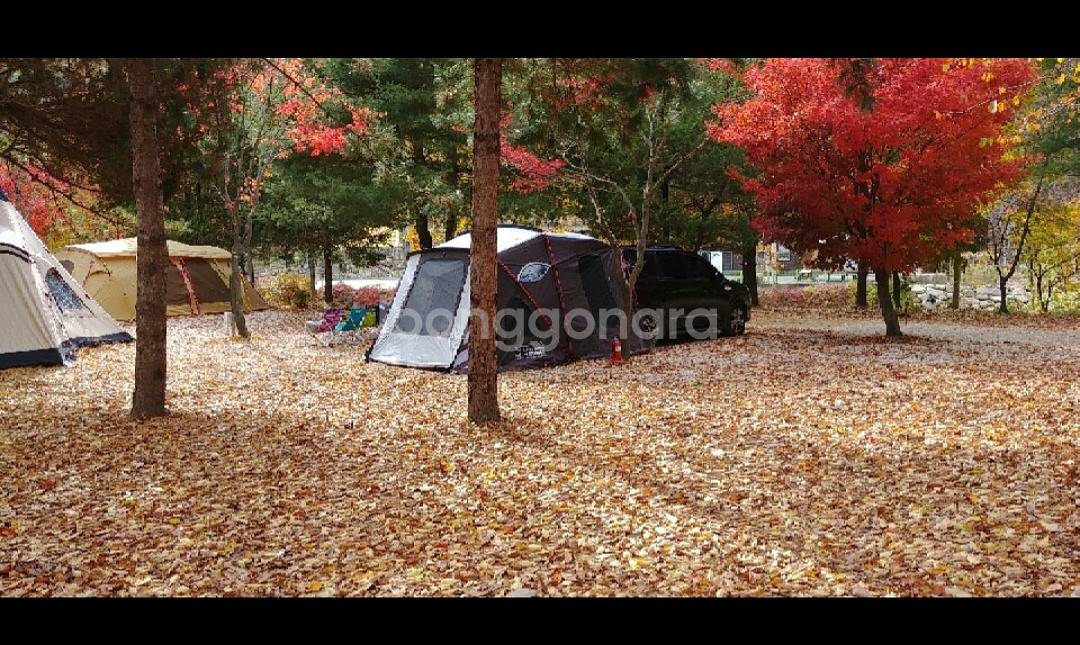 위드몽 블렉 암막 텐트--1