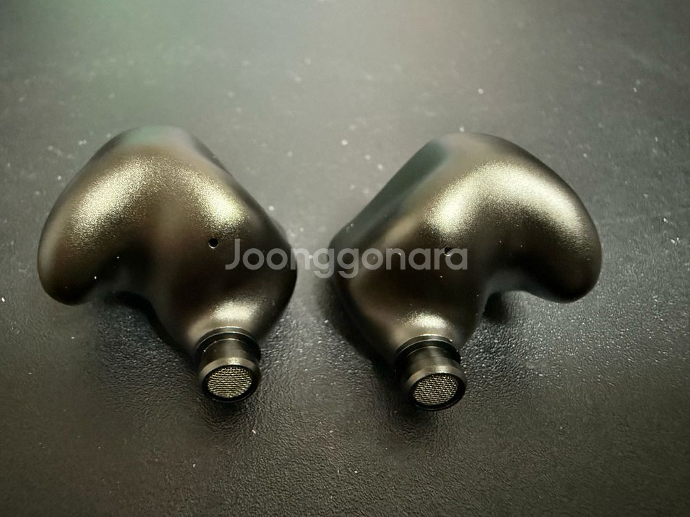 QDC+Fitear (superior ex) 슈페리어--3