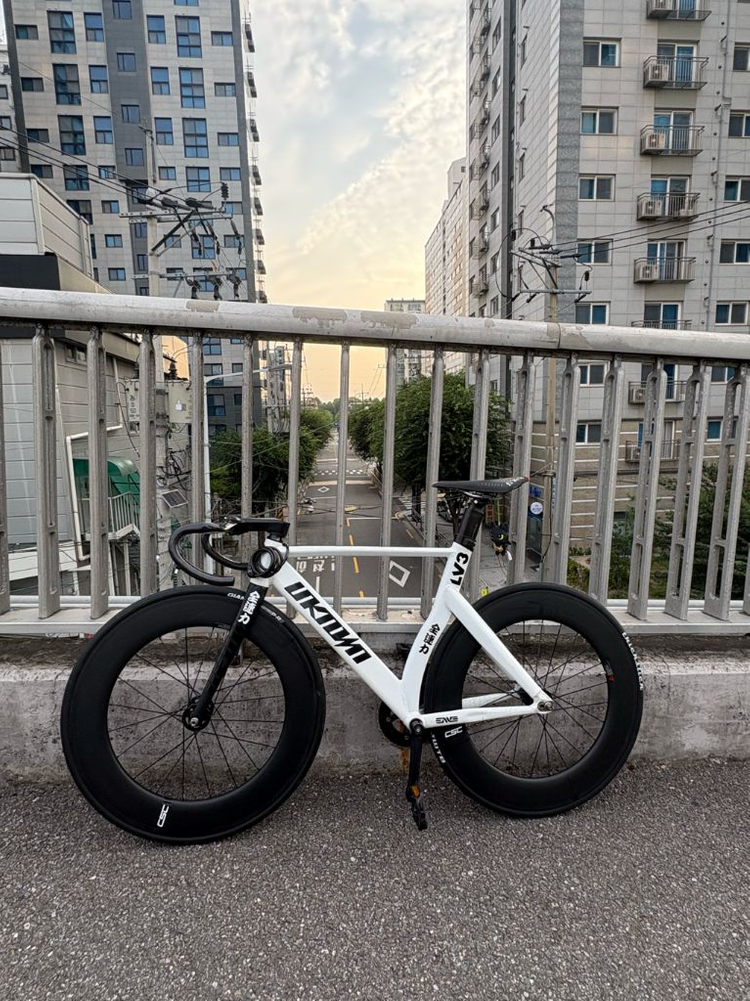 언노운 lv3 픽시 자전거 판/대 이미지