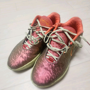 나이키 농구화 르브론 21 퀸 콘치 285 급처