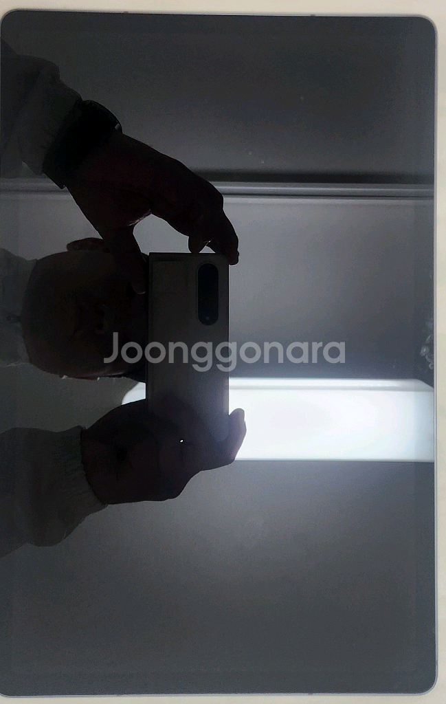 갤럭시탭 S9 FE+ 5G+WiFi 256GB 풀셋--5
