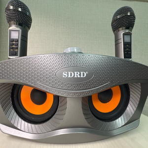 sdrd 노래방 기계