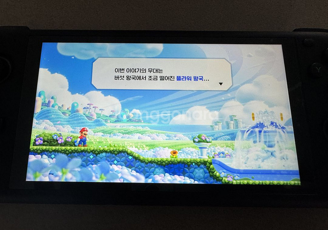 오딘1 프로 256g 한방팩--1