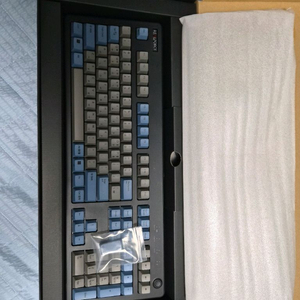 리얼포스 r3 풀배열 30g
