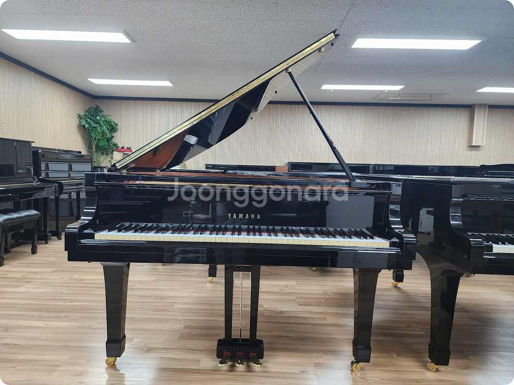 야마하 그랜드피아노 C3--0