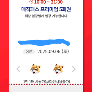 롯데월드 매직패스 잠실 9/6 토요일 2매 양도