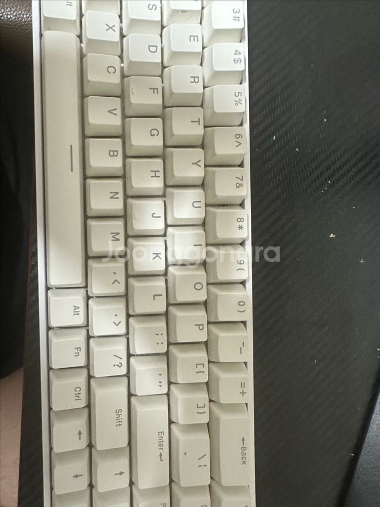 레이븐68--0
