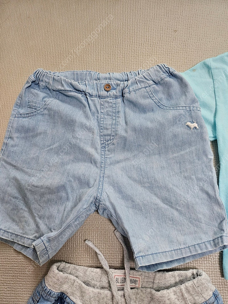 블루독 모이몰른등 일괄 100--2