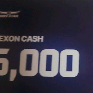 서든어택 넥슨캐시 5000원팝니다