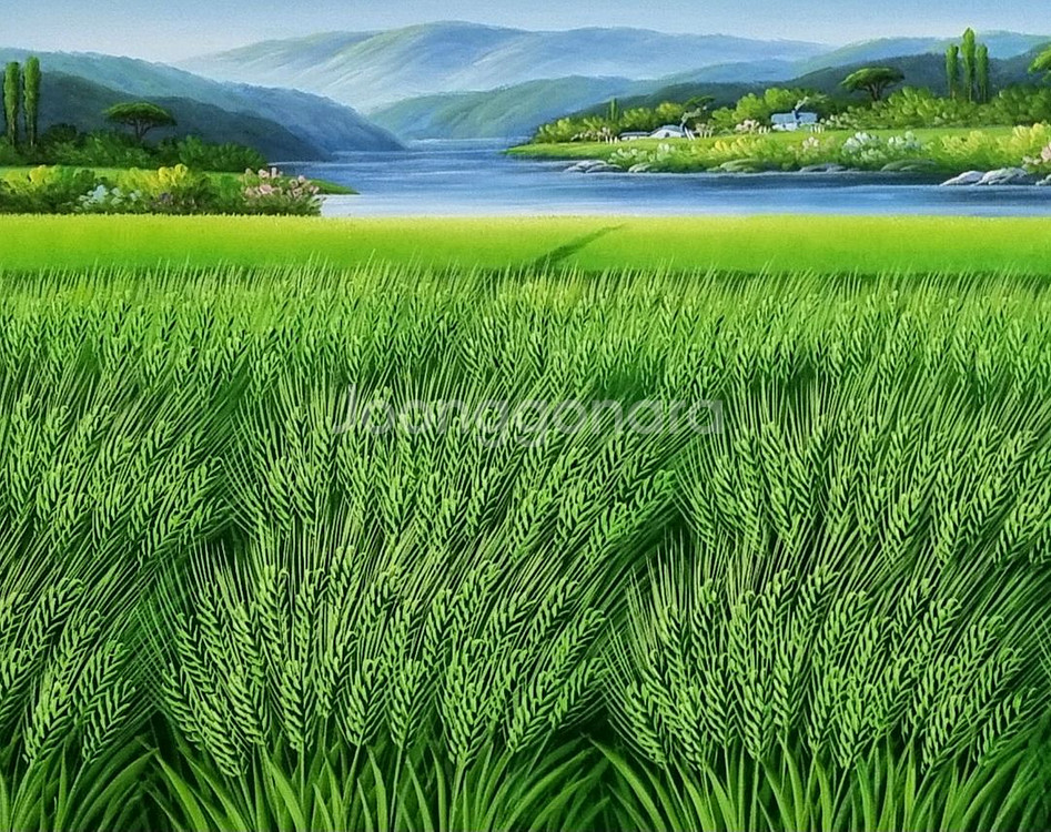 청보리 유화그림--1