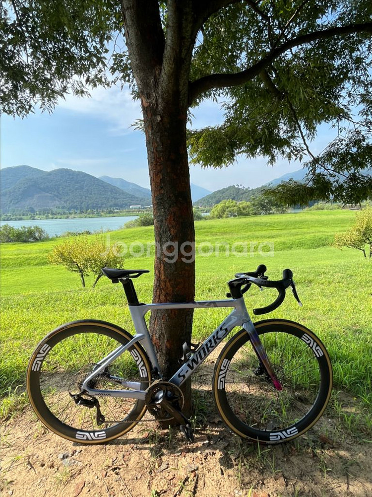 자바 푸오코 프로 m사이즈 + 엘리트 엣지 휠--0