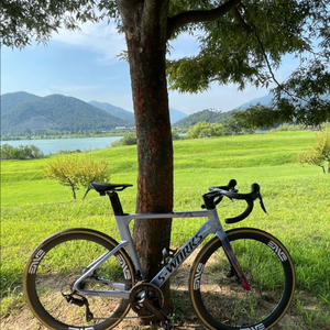 자바 푸오코 프로 m사이즈 + 엘리트 엣지 휠