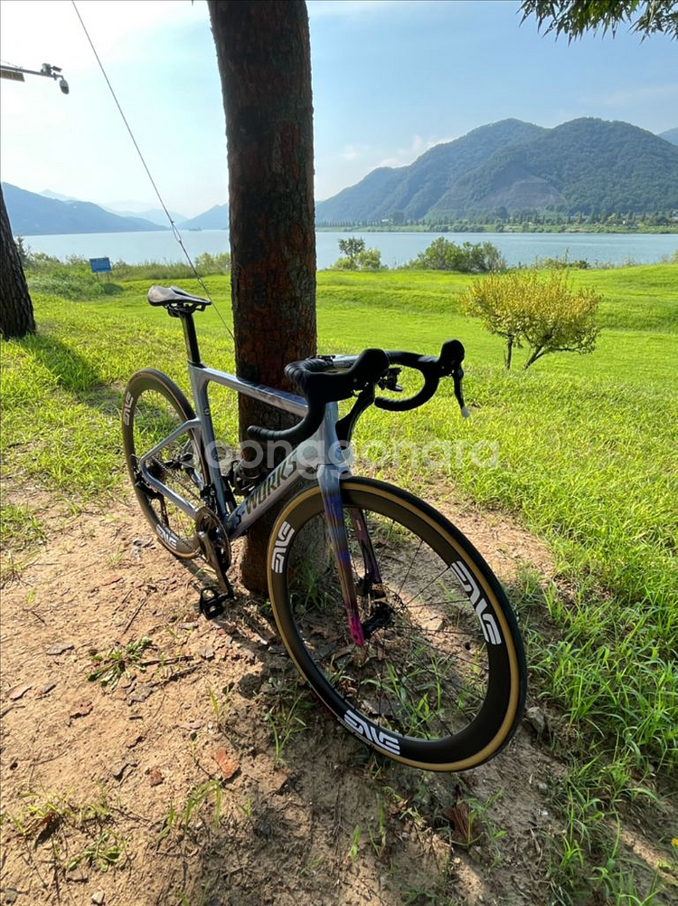 자바 푸오코 프로 m사이즈 + 엘리트 엣지 휠--5