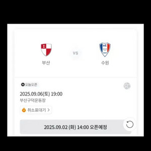 수원삼성 부산아이파크 원정석 지정석 2자리 양도합니다