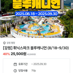 휘닉스파크 블루캐니언 7,8일 이용권 4매