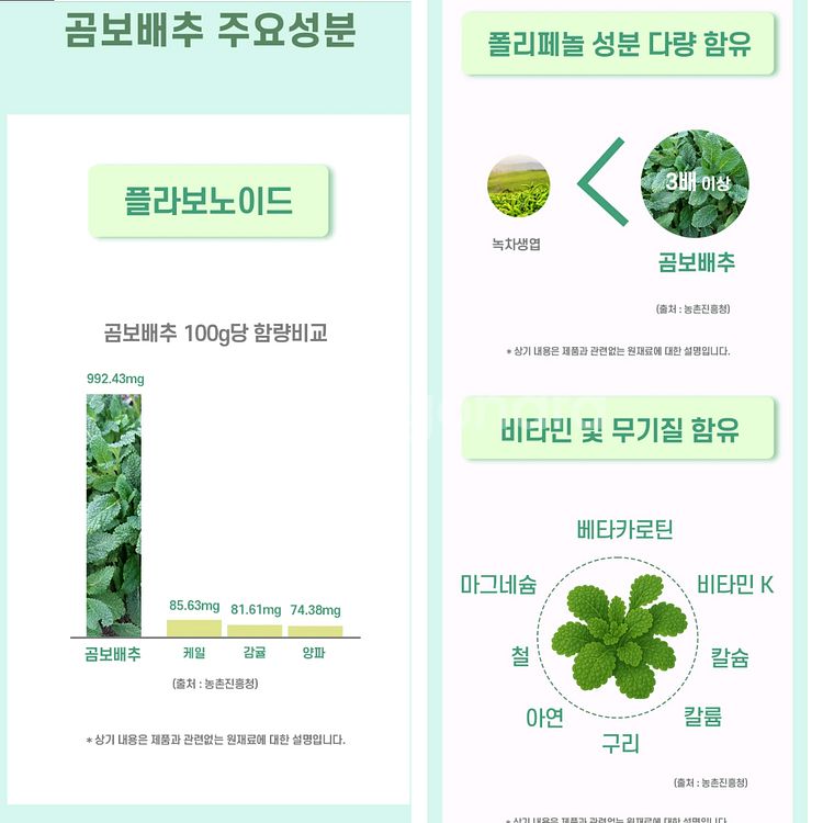 곰보배추 액상--3