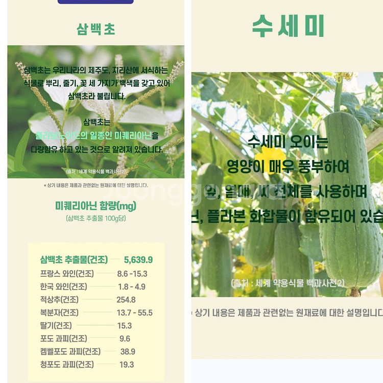 곰보배추 액상--5