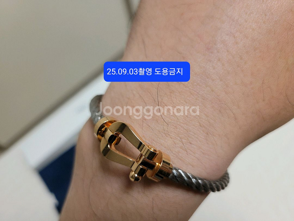 프레드 포스텐 골드 라지 18호--3