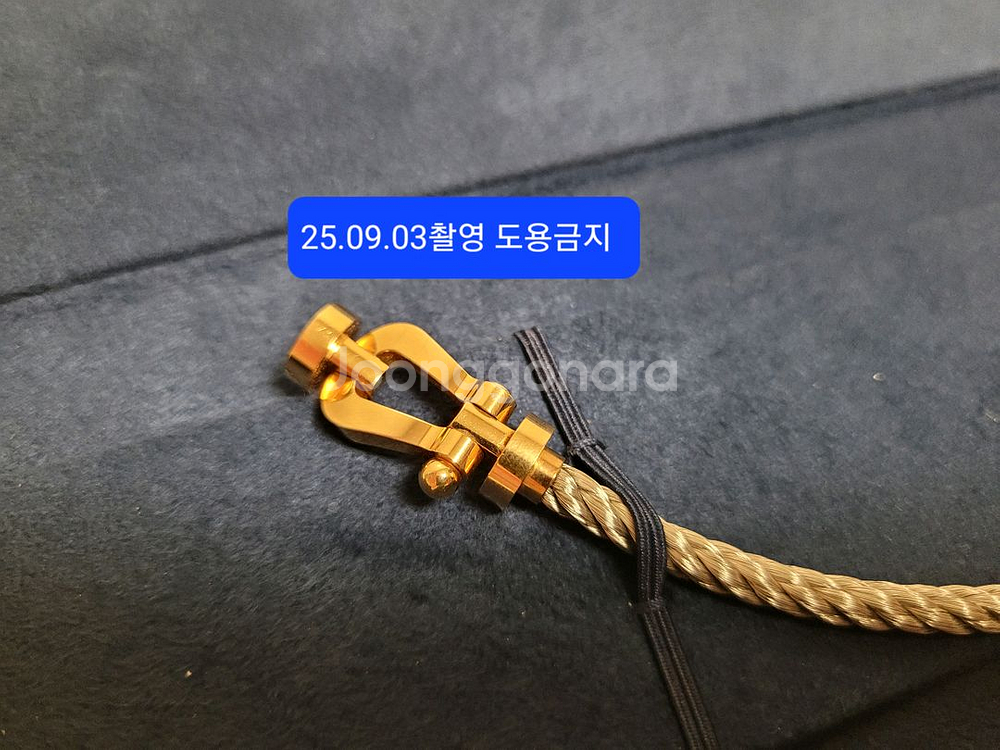 프레드 포스텐 골드 라지 18호--1