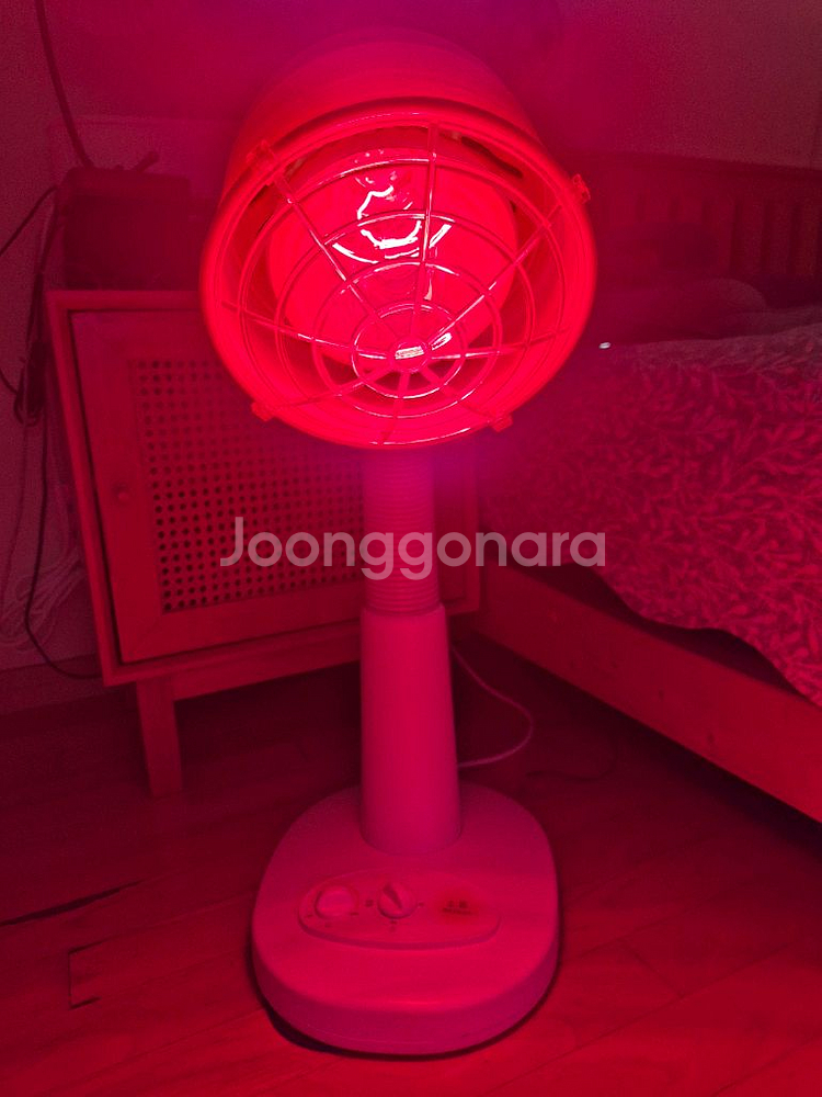 예림 필립스 램프 적외선조사기--1