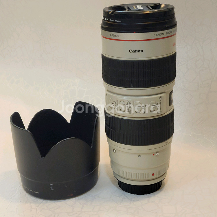 캐논 EF 70-200 F2.8 L IS USM--2