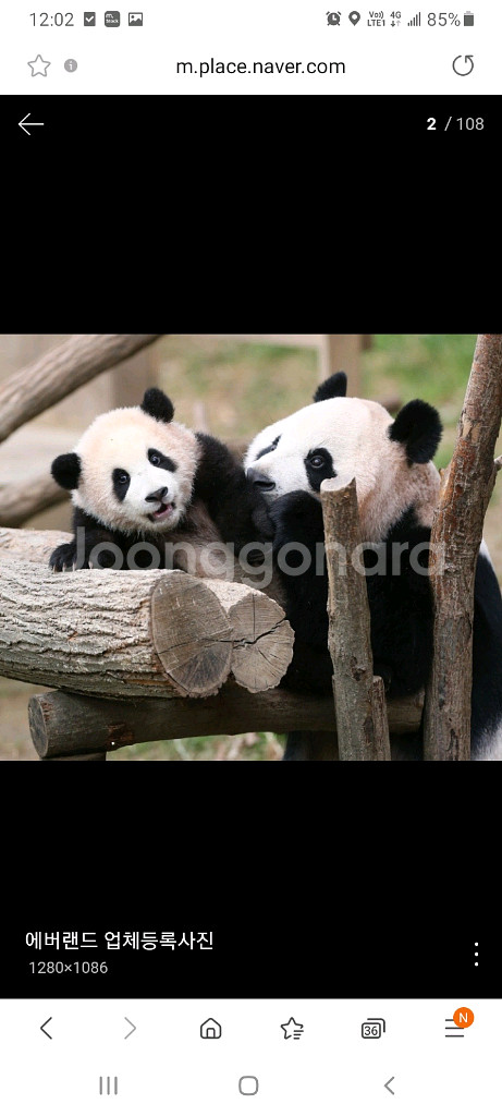 에버랜드 자유이용권 주말가능종일권--0