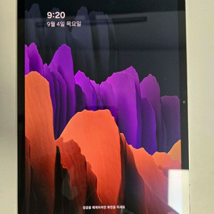 갤럭시 탭 S7+ 256gb LTE 실버