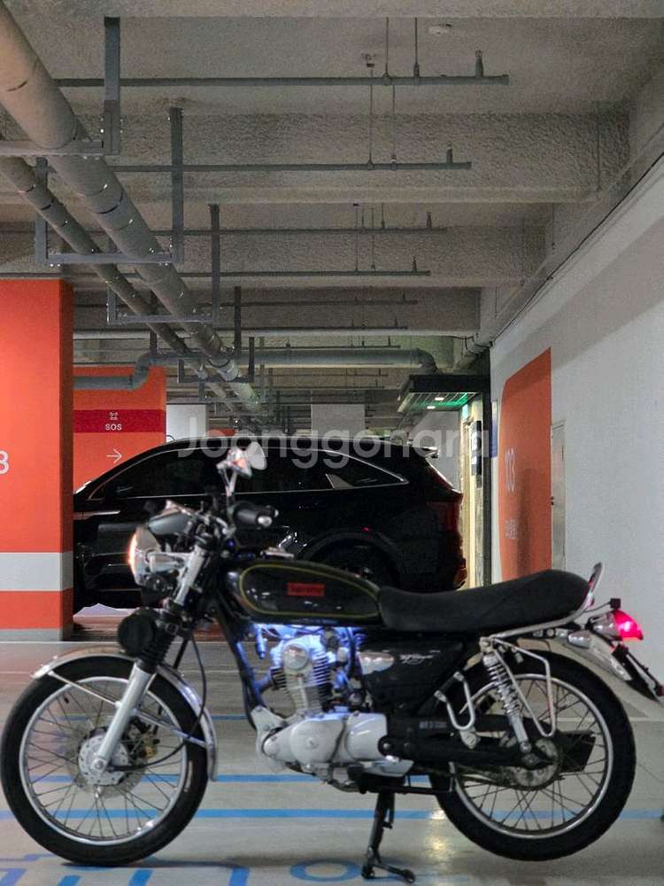 sym 울프125 2018년식--3