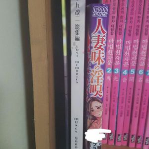 성인만화 동인지