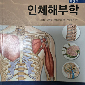 인체해부학