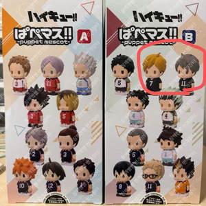 일괄)하이큐 파페마스 미야 아츠무 오사무 소프비